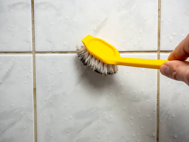 Best Mold Testing  in Chadron, NE