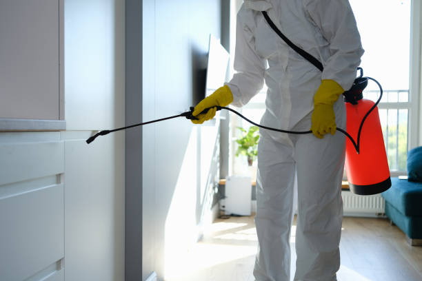 Best Attic Mold Removal  in Chadron, NE